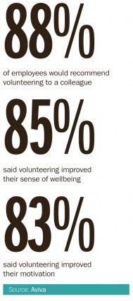 Employee Volunteering Sentiment Statistics