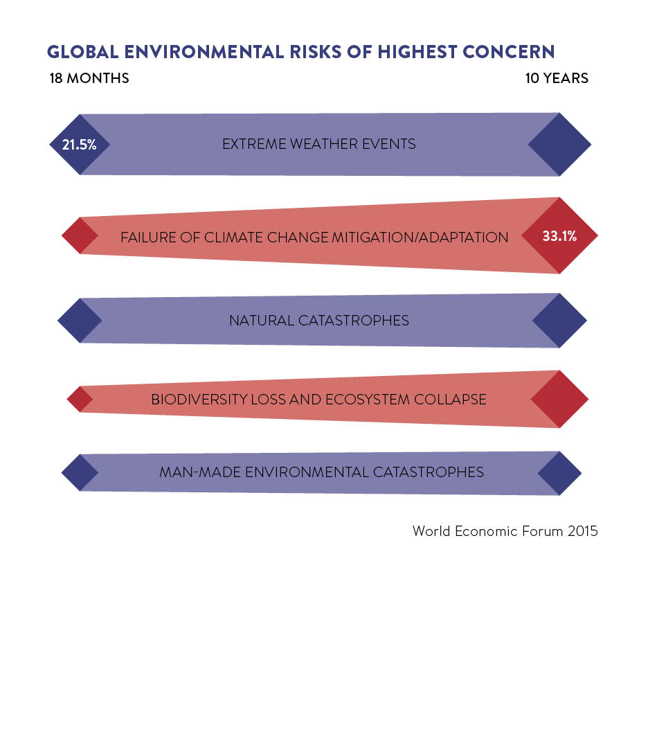 Global environmental risks