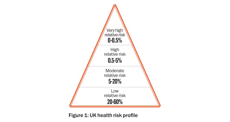 Figure 1: UK health risk profile