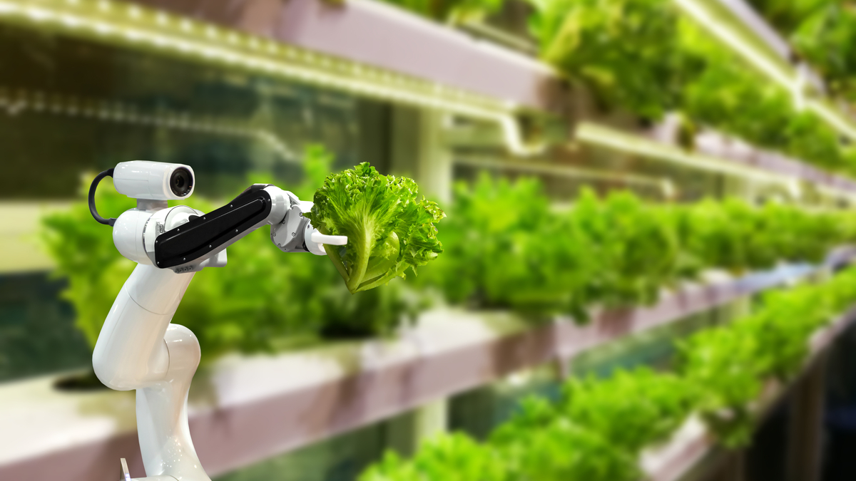 Top five technology innovations in agriculture