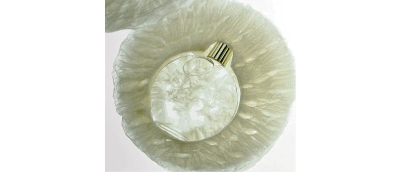 Agar prototype by designer Kosuke Araki can provide cushioned packaging for perfume bottles