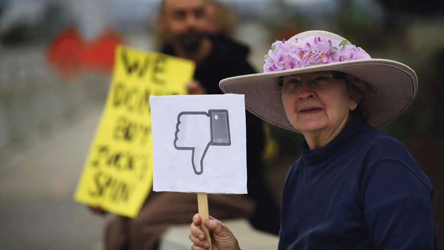 old lady in hat holding placard with a thumbs down Facebook icon