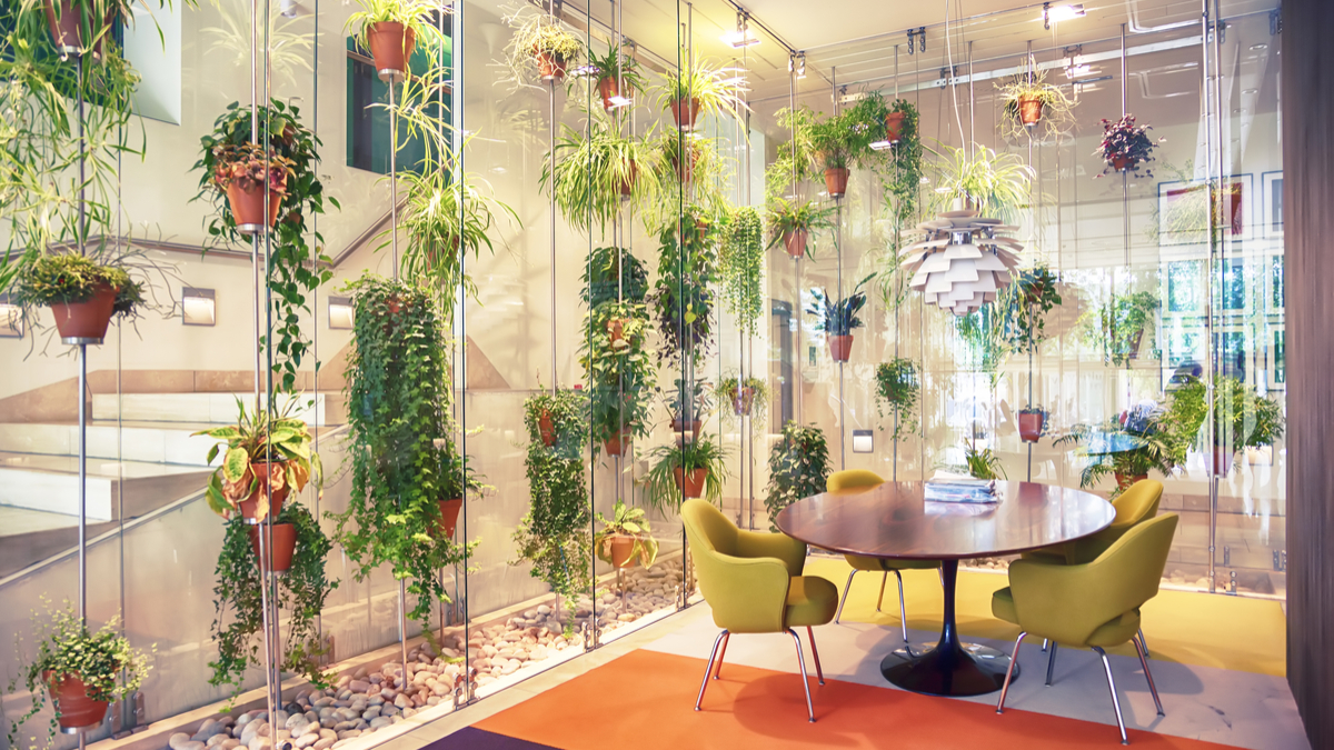 Biophilic design: five benefits for workers and brands