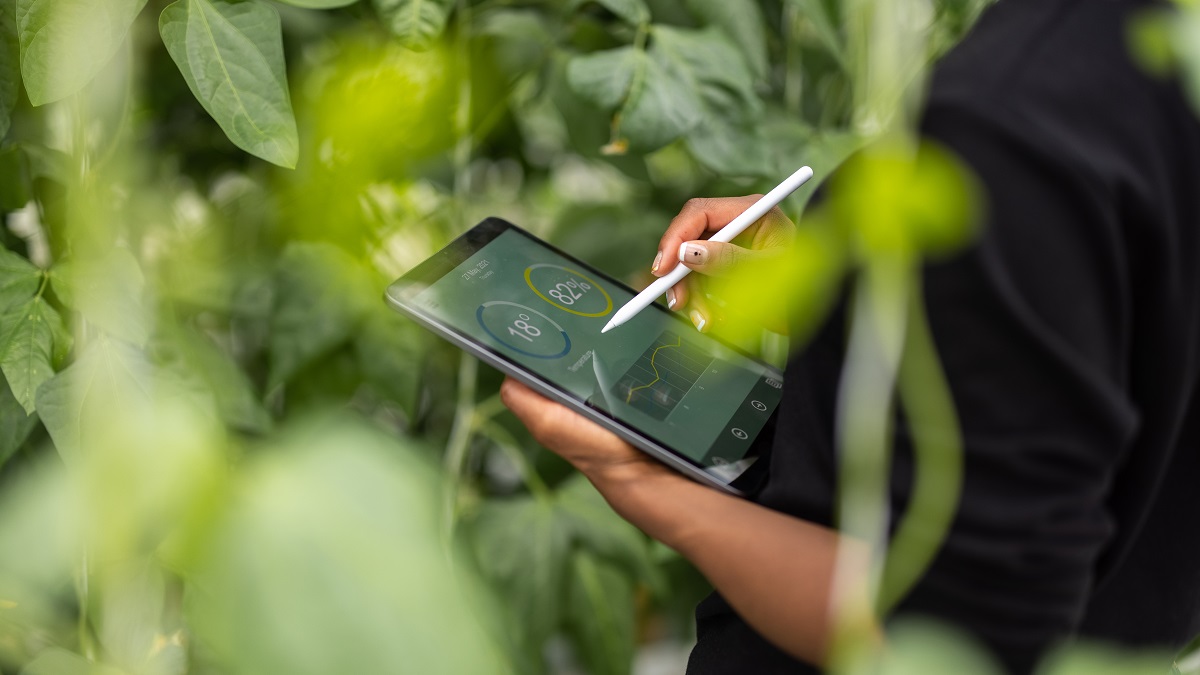 Cropped shot of a woman agronomist using digital tablet for analysis of plantation. Woman updating plants growth on digital tablet app in garden center.