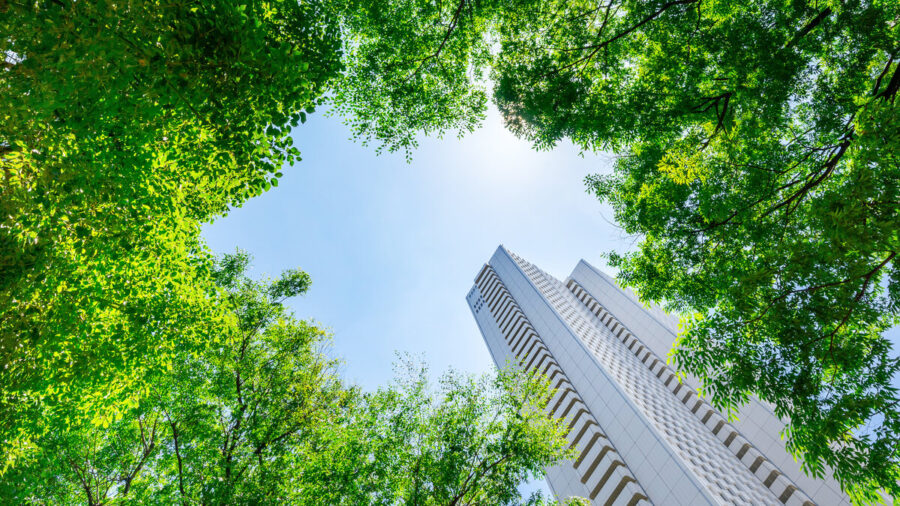 Looking Up View Of Panoramic Modern City Skyline With Blue Sky And Green Tree